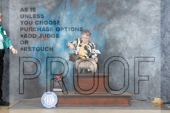 Cairn Terrier #20 Fri BOS Judge Carolyn Herbel__JP_4180_Fayetteville2024_HR3