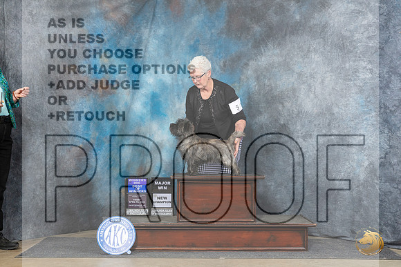 Cairn Terrier #5 Fri WDBOW Judge Carolyn Herbel__JP_4197_Fayetteville2024_HR3