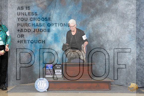 Cairn Terrier #5 Fri WDBOW Judge Carolyn Herbel__JP_4201_Fayetteville2024_HR3