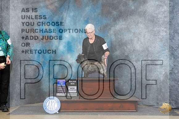 Cairn Terrier #5 Fri WDBOW Judge Carolyn Herbel__JP_4202_Fayetteville2024_HR3