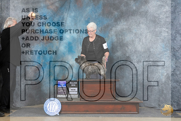 Cairn Terrier #5 Fri WDBOW Judge Carolyn Herbel__JP_4203_Fayetteville2024_HR3