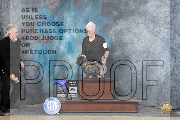 Cairn Terrier #5 Fri WDBOW Judge Carolyn Herbel__JP_4208_Fayetteville2024_HR3