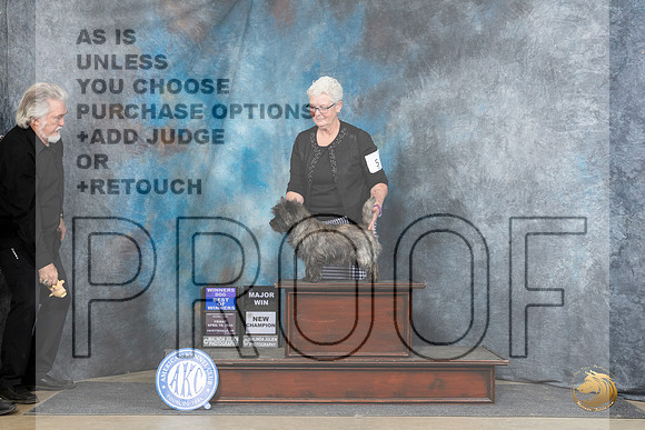 Cairn Terrier #5 Fri WDBOW Judge Carolyn Herbel__JP_4206_Fayetteville2024_HR3