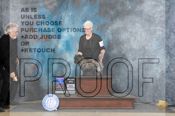 Cairn Terrier #5 Fri WDBOW Judge Carolyn Herbel__JP_4207_Fayetteville2024_HR3