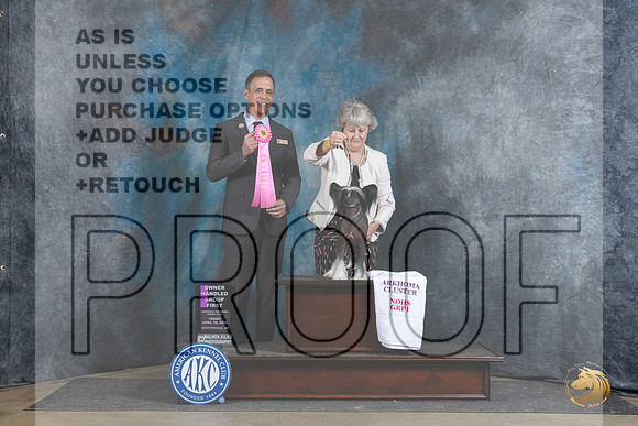 Chinese Crested #8 Fri OHG1 Judge Scott Toney__JP_4385_Fayetteville2024_HR3