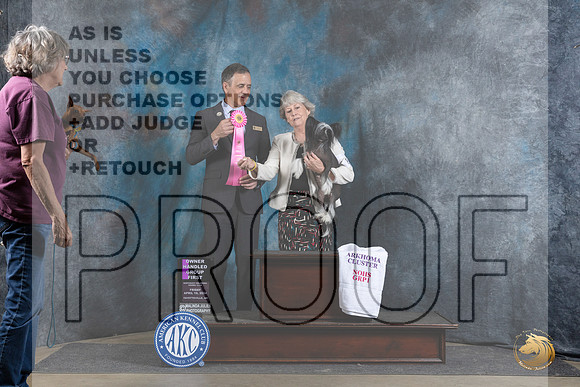Chinese Crested #8 Fri OHG1 Judge Scott Toney__JP_4388_Fayetteville2024_HR3