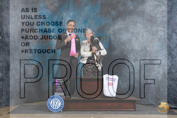 Chinese Crested #8 Fri OHG1 Judge Scott Toney__JP_4391_Fayetteville2024_HR3