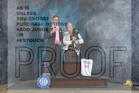 Chinese Crested #8 Fri OHG1 Judge Scott Toney__JP_4392_Fayetteville2024_HR3
