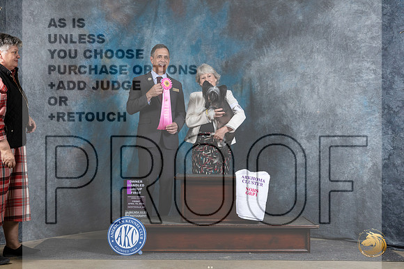 Chinese Crested #8 Fri OHG1 Judge Scott Toney__JP_4393_Fayetteville2024_HR3