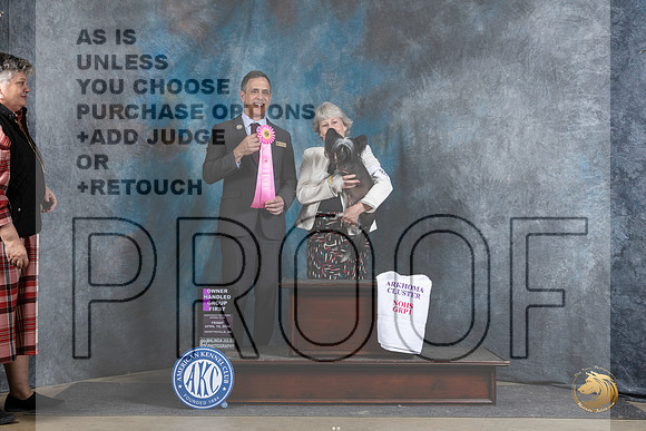 Chinese Crested #8 Fri OHG1 Judge Scott Toney__JP_4395_Fayetteville2024_HR3