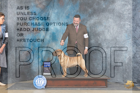 Chinese Shar Pei #7 Fri G1 Judge Carolyn Herbel__JP_4485_Fayetteville2024_HR3
