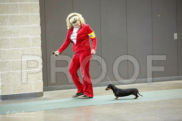 _JN_3935-BeltonJan2015-HR3