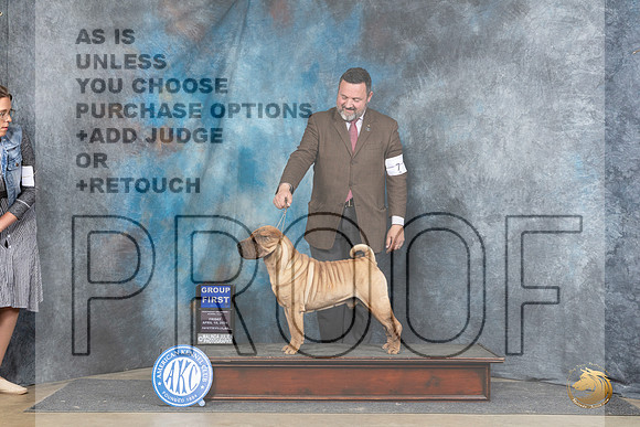Chinese Shar Pei #7 Fri G1 Judge Carolyn Herbel__JP_4486_Fayetteville2024_HR3