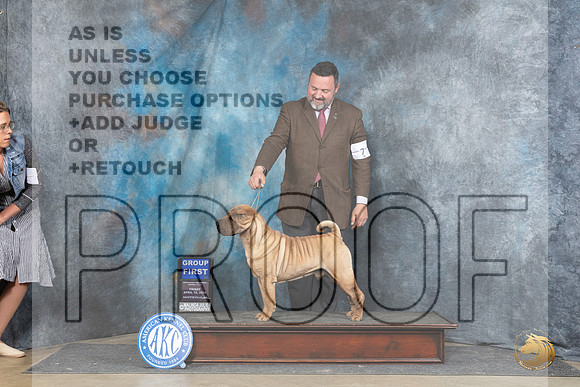 Chinese Shar Pei #7 Fri G1 Judge Carolyn Herbel__JP_4487_Fayetteville2024_HR3