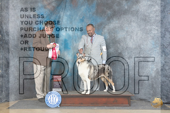 Collie Smooth #14 Fri G2 Judge Charles Olvis__JP_4359_Fayetteville2024_HR3