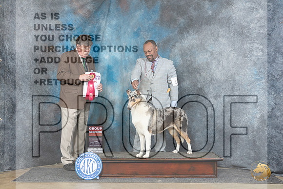 Collie Smooth #14 Fri G2 Judge Charles Olvis__JP_4364_Fayetteville2024_HR3