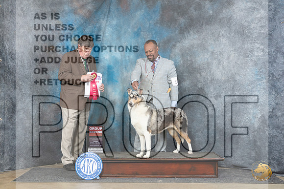 Collie Smooth #14 Fri G2 Judge Charles Olvis__JP_4363_Fayetteville2024_HR3