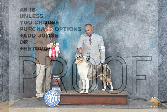 Collie Smooth #14 Fri G2 Judge Charles Olvis__JP_4365_Fayetteville2024_HR3