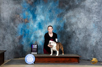 English Bulldog #18 Fri WBM Judge Charles Olvis