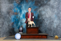 French Bulldog #34 Fri SB JUdge Charles Olvis