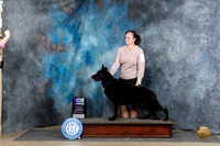 German Shepherd Dog #20 Fri WBM Judge Carol Moser