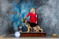 German Shepherd Dog #26 Fri BOS Judge Carol Moser