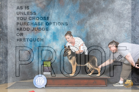 German Shepherd Dog #6 Fri PG3 Judge Carol Moser__JP_4082_Fayetteville2024_HR3