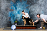 German Shepherd Dog #6 Fri PG3 Judge Carol Moser