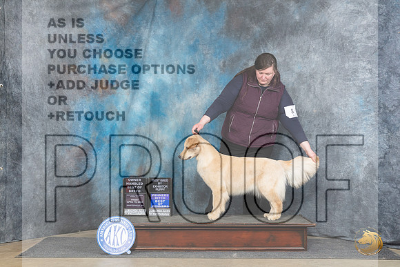 Golden Retriever #8 Fri WBBOWOHBOB Judge Elizabeth Muthard__JP_4213_Fayetteville2024_HR3