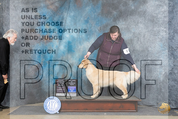 Golden Retriever #8 Fri WBBOWOHBOB Judge Elizabeth Muthard__JP_4219_Fayetteville2024_HR3