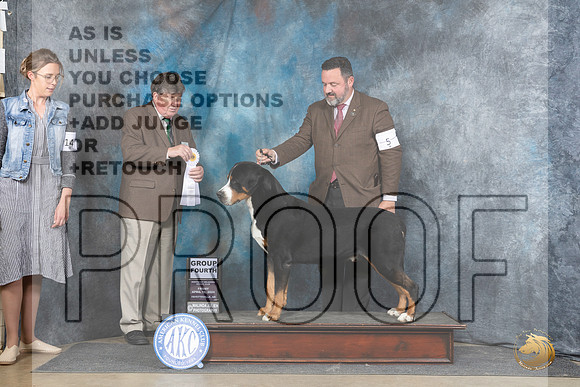 Greater Swiss Moutain Dog #5 Fri G4 Judge Charles Olvis__JP_4266_Fayetteville2024_HR3