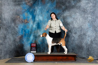 Harrier #15 Fri G2 Judge Carol Moser