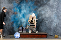 Miniature Schnauzer #7 Thur WDBOWBOBM Judge Linda Hurlebaus