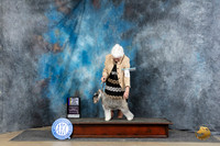 Miniature Schnazuer #11 Fri BOBGCH Judge Carolyn Herbel