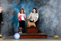 Norfolk #5 Fri G2 Judge Linda Hurlebaus