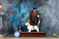 PBGV #5 Fri G1 Judge Carol Moser