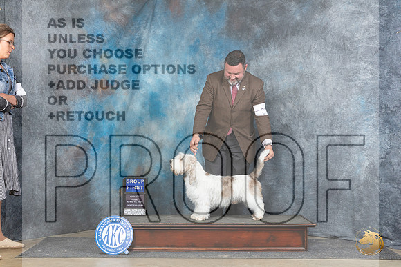 PBGV #5 Fri G1 Judge Carol Moser__JP_4490_Fayetteville2024_HR3