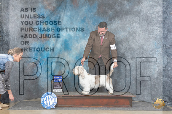 PBGV #5 Fri G1 Judge Carol Moser__JP_4495_Fayetteville2024_HR3