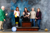 Scottish Terrier #12 Fri G3 Judge Linda Hurlebaus