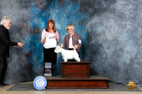 West Highland White Terrier #6 Fri G4 Judge Linda Hurlebaus