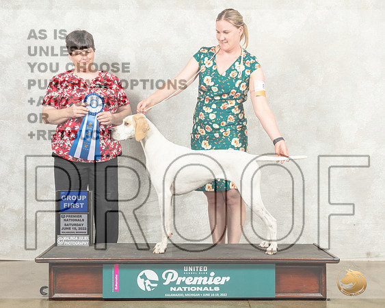 Pointer #816 Sat G1 Judge Linda Reece__MJ_8698_Premier_2022_HR3