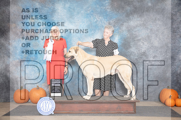 Anatolian Shepherd #7 Sun G4 Judge Jan Paulk__JP_9689_Humble_2024_HR3