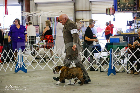 _RH_9547-AlamogordoOct2014-HR3