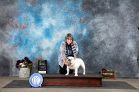 Bulldog #7 Sat OH2 Judge Joan Liebes