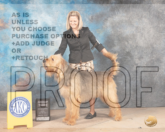 Otterhound #5 Fri G2 Judge Pat Trotter-MMJ_3290-Addison2022-HR3
