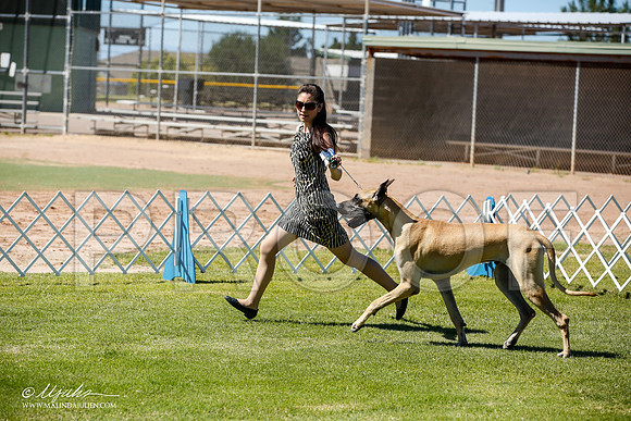 _JN_6341-AlamogordoOct2014-HR3