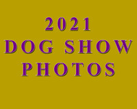 2021 Dog Shows & Events
