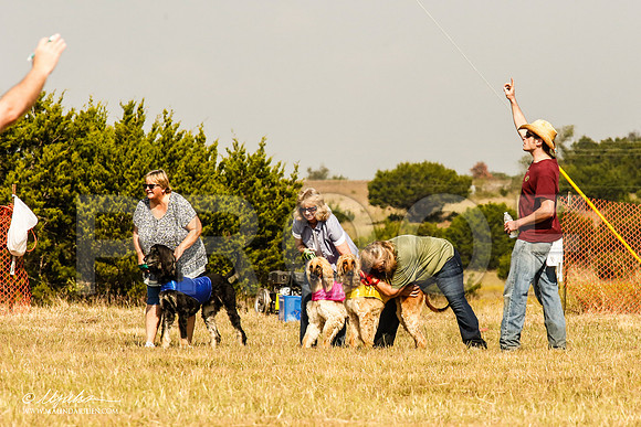 _MJ_4654-AfgBeltonOct2014-HR3