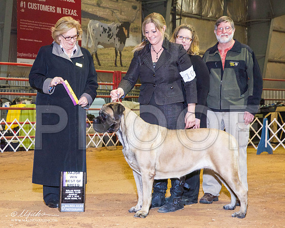 _RH_8900-GlenRoseJan2015-HR3