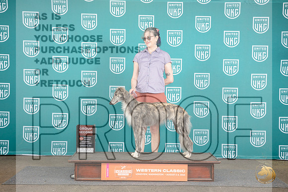 Silken Windhound #431 Sun BOW BOB Judge Matt Proctor__JP_1696_Longview WA_2024_HR3